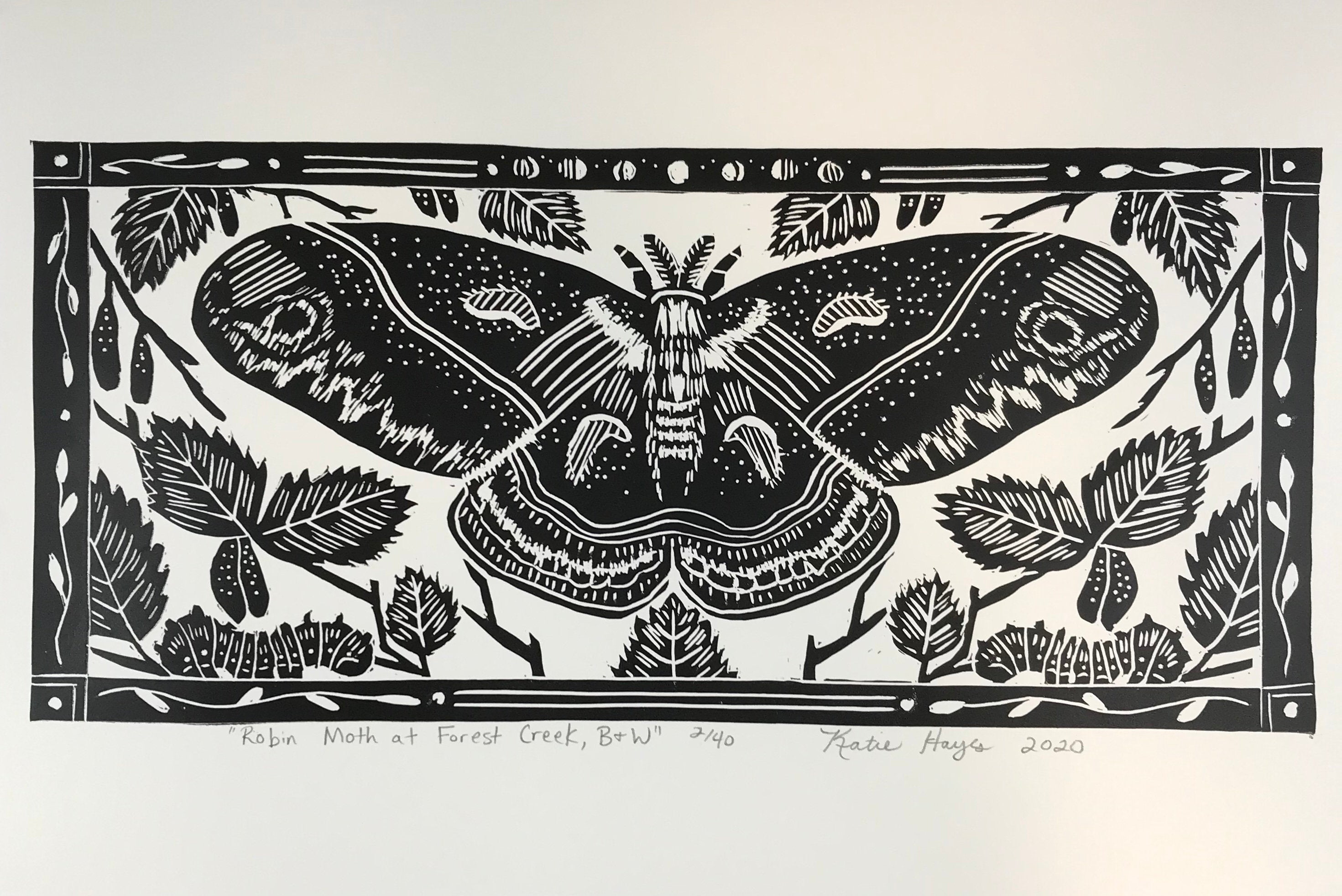Robin Moth (cecropia) and birch leaves, limited edition black and white block print. Hand pulled on 12x18 paper