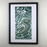 Hellbender Salamander, Artist Proof.  Full color Hand pulled block print, on 12x18 sustainable paper