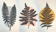 Load image into Gallery viewer, Set of 2 or 3 large Native Fern block prints,  Full color Artist proof. Hand pulled jumbo 16 x 20 paper, Naturalist Art
