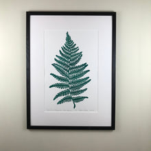 Load image into Gallery viewer, Lady Fern, original block print,  Limited Edition with 18x24 mat, Naturalist Art
