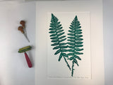 Christmas Fern, original block print,  Limited Edition with 18x24 mat, Naturalist Art