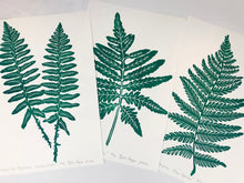 Load image into Gallery viewer, Christmas Fern, original block print,  Limited Edition with 18x24 mat, Naturalist Art
