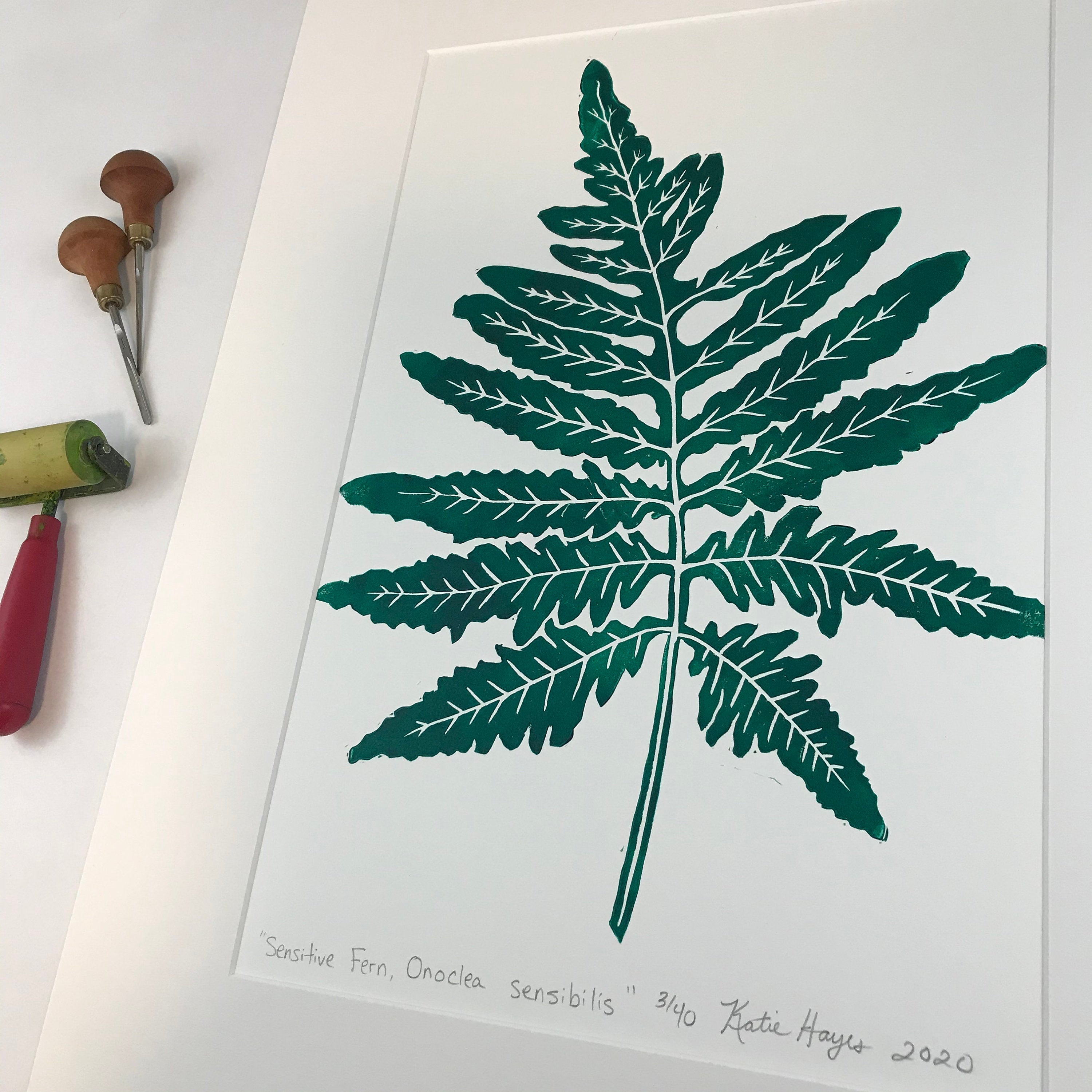 Sensitive Fern, original block print,  Limited Edition with 18x24 mat, Naturalist Art