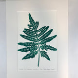 Sensitive Fern, original block print,  Limited Edition with 18x24 mat, Naturalist Art