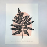 Jumbo, Sensitive fern botanical block print, Full Color Artist proof with 18x24 mat