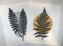 Load image into Gallery viewer, Set of 2 or 3 large Native Fern block prints,  Full color Artist proof. Hand pulled jumbo 16 x 20 paper, Naturalist Art
