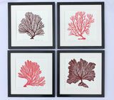 Wide Mesh Sea Fan, Dark Red, Hand Pulled Block print with 12x12 inch mat
