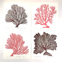 Load image into Gallery viewer, Sea Fans of the Atlantic, Set of 4 Hand Pulled Block prints with 12x12 inch mat
