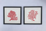 Lace Sea Fan, Bright Red, Hand Pulled Block print with 12x12 inch mat