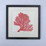 Spiny Sea Fan, Bright Red, Hand Pulled Block print with 12x12 inch mat