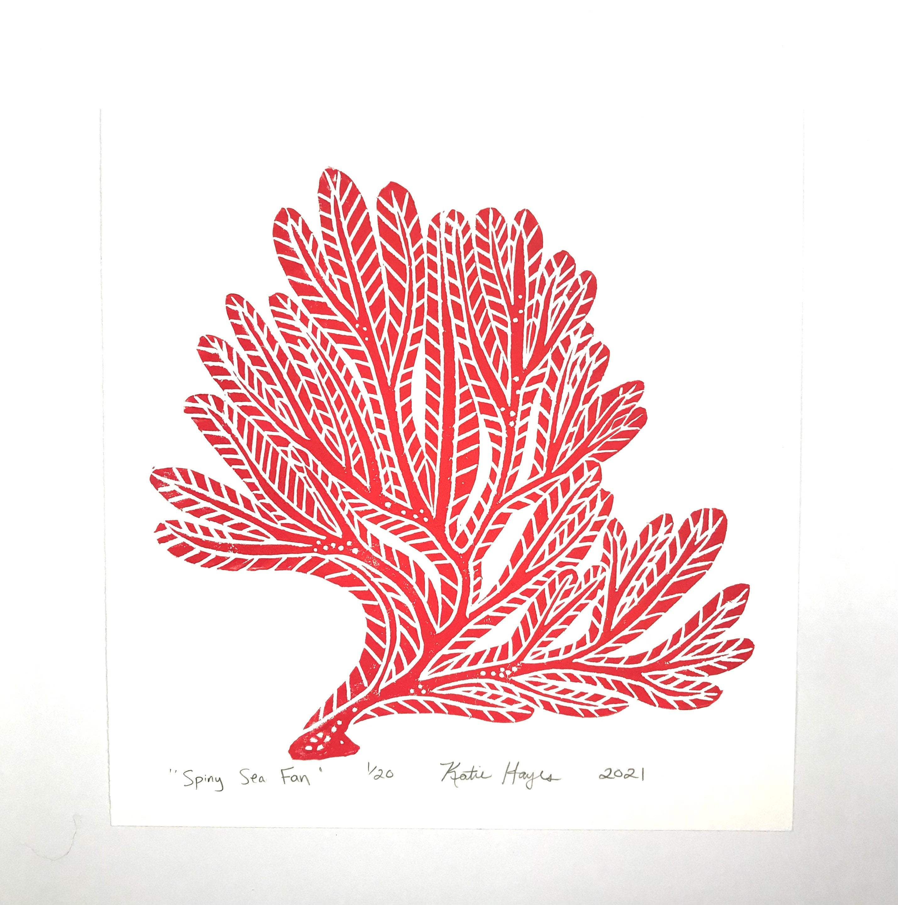 Spiny Sea Fan, Bright Red, Hand Pulled Block print with 12x12 inch mat