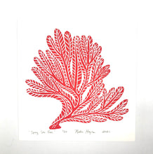Load image into Gallery viewer, Spiny Sea Fan, Bright Red, Hand Pulled Block print with 12x12 inch mat
