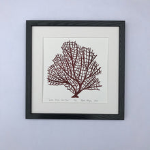 Load image into Gallery viewer, Wide Mesh Sea Fan, Dark Red, Hand Pulled Block print with 12x12 inch mat
