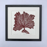 Common Sea Fan, Dark Red, Hand Pulled Block print with 12x12 inch mat