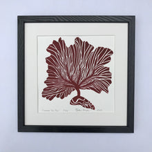 Load image into Gallery viewer, Common Sea Fan, Dark Red, Hand Pulled Block print with 12x12 inch mat
