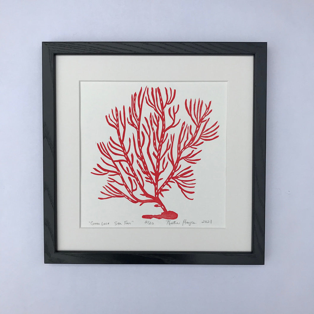 Lace Sea Fan, Bright Red, Hand Pulled Block print with 12x12 inch mat