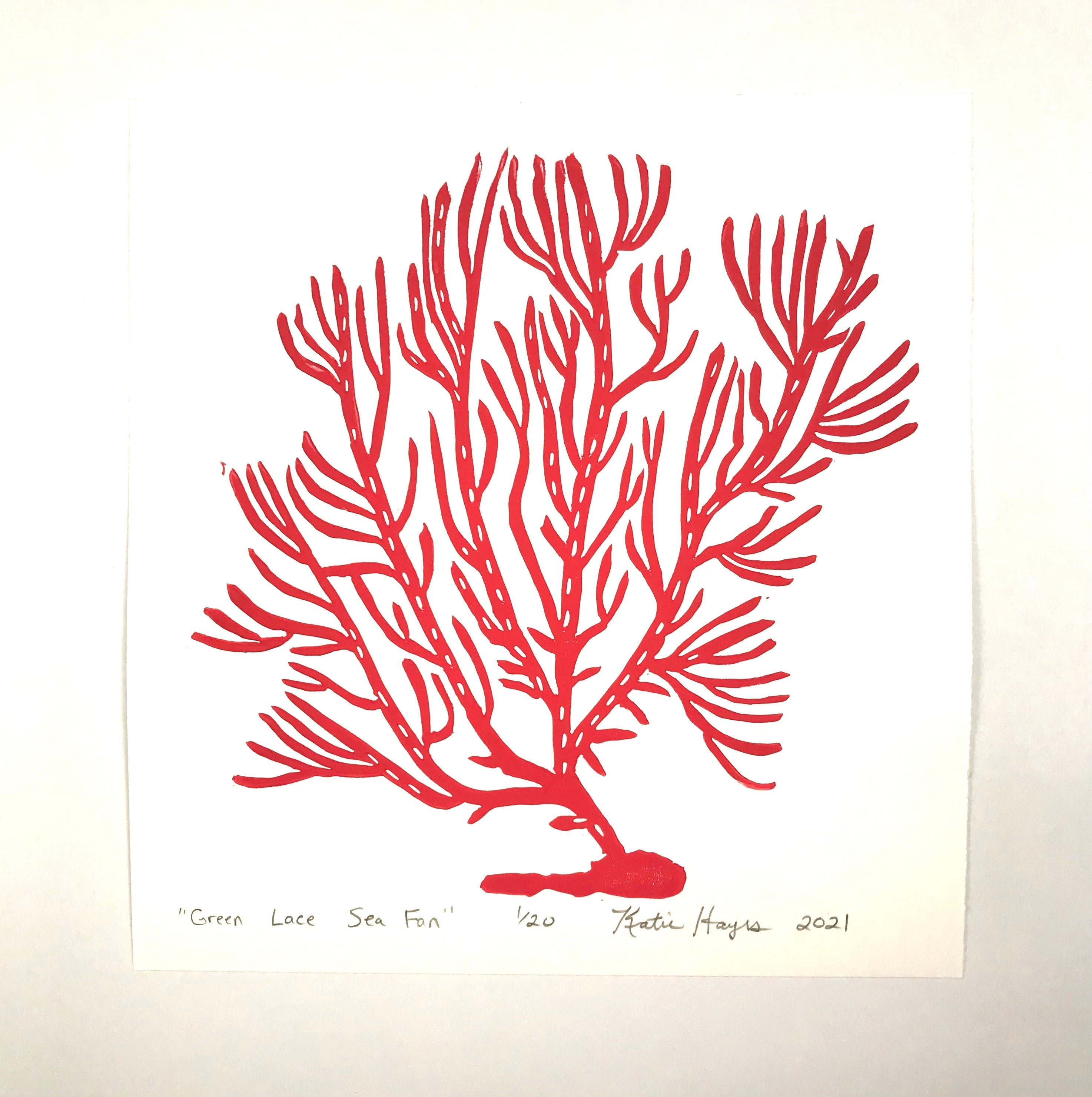 Lace Sea Fan, Bright Red, Hand Pulled Block print with 12x12 inch mat