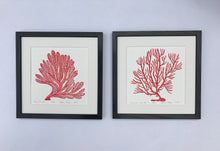 Load image into Gallery viewer, Spiny Sea Fan, Bright Red, Hand Pulled Block print with 12x12 inch mat
